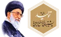 خرید ظرف فریزری مستطیل 450 میلی لیتری لیمون از دوتادی ظرف فریزری مستطیل 450 میلی لیتری لیمون
